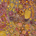 Janet Golder Kngwarreye Aboriginal Art