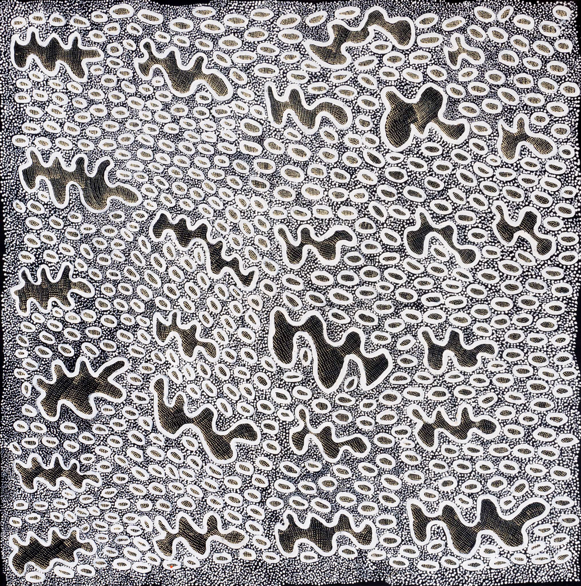 Ngoia Pollard Napaltjarri Aboriginal Art