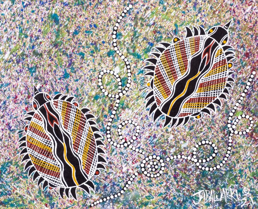Steven Jabaljarri Sutton Aboriginal Art