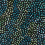 Eileen Bird Nungarai Aboriginal Art