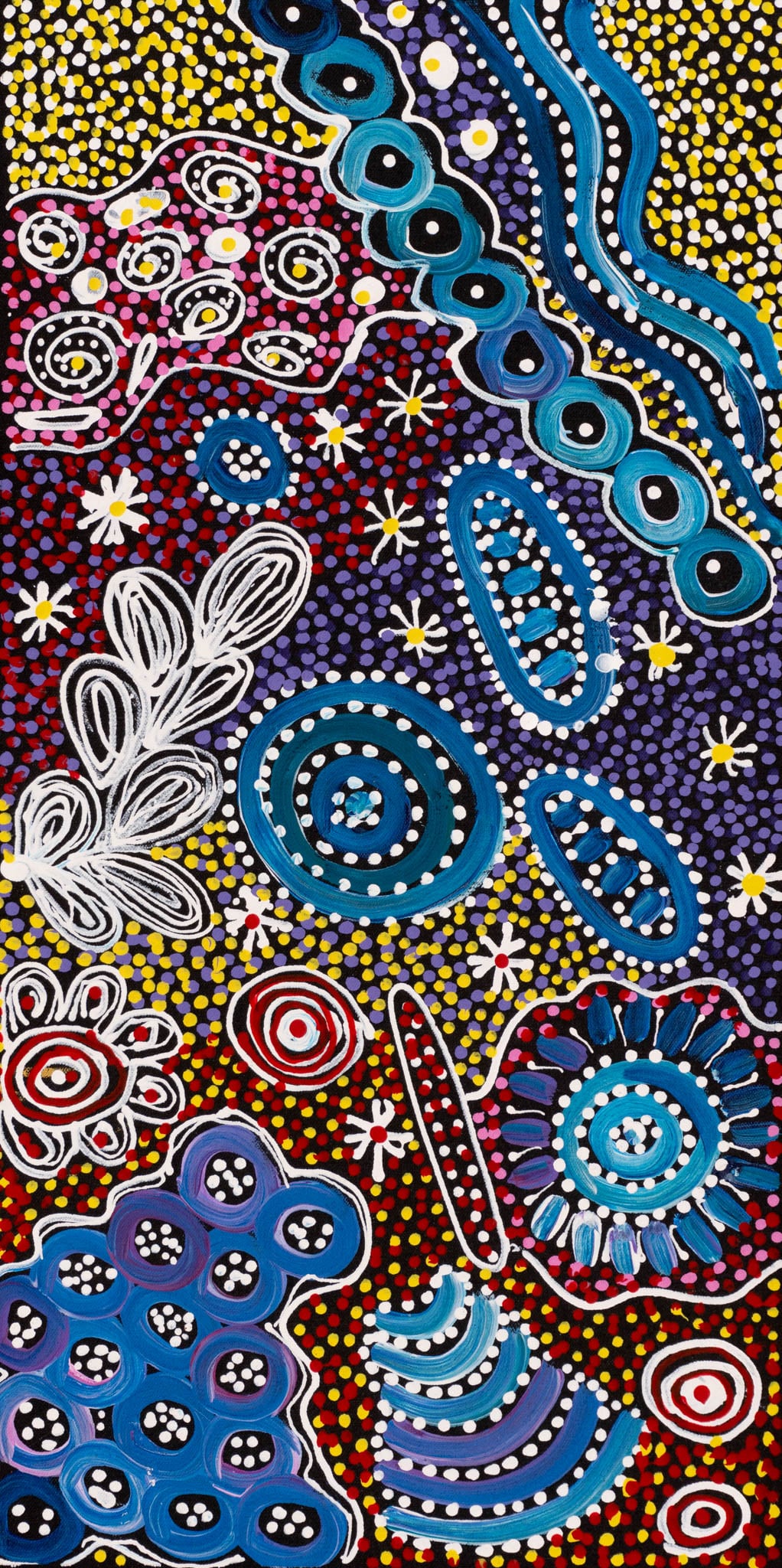 Janet Golder Kngwarreye Aboriginal Art