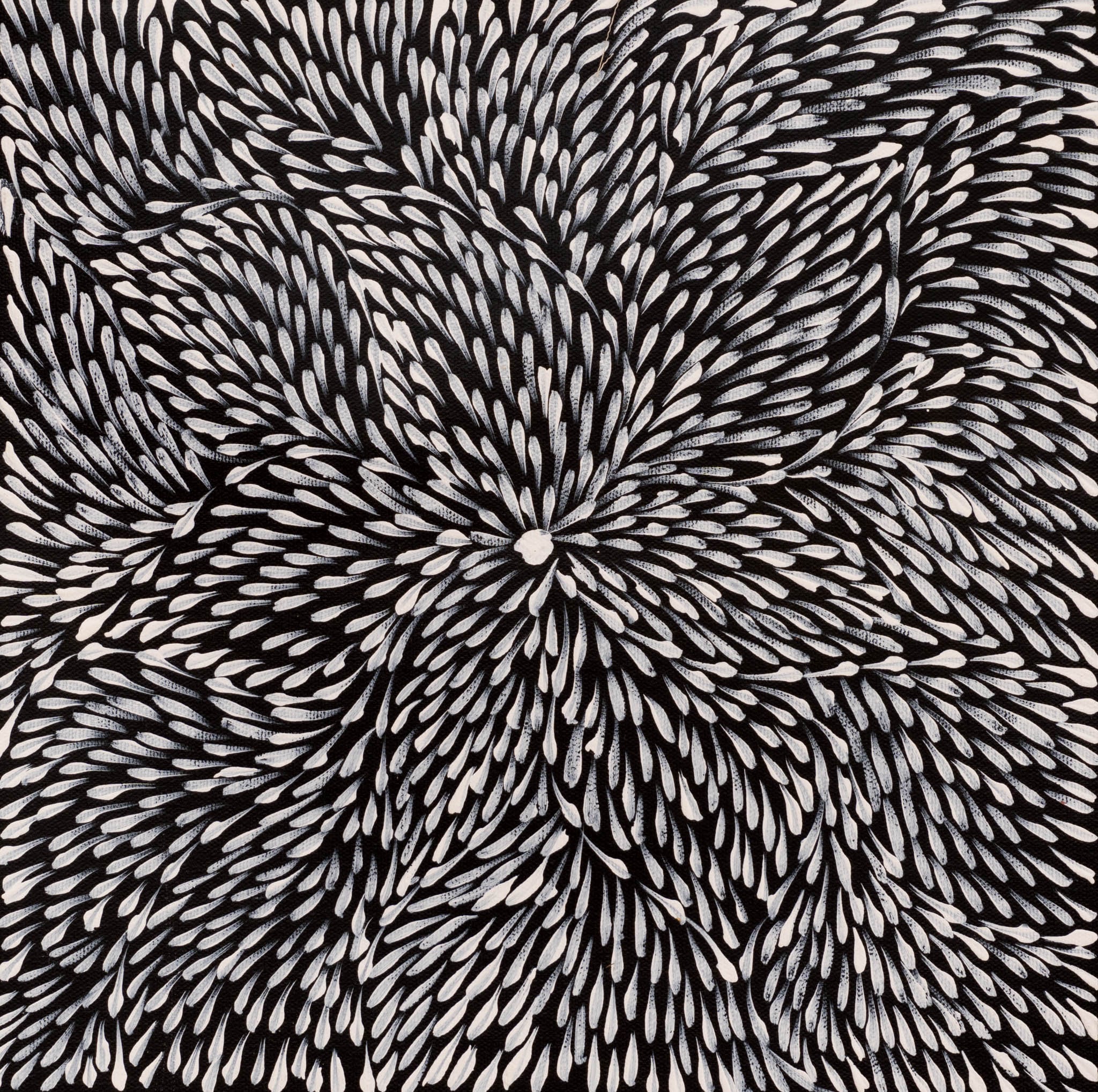 Roseanne Morton Petyarre Aboriginal Art