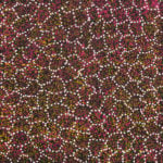 Cindy Morton Pwerle Aboriginal Art