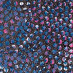 Eileen Bird Nungarai Aboriginal Art