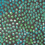 Eileen Bird Nungarai Aboriginal Art