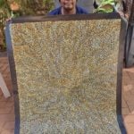 Roseanne Morton Petyarre Aboriginal Art