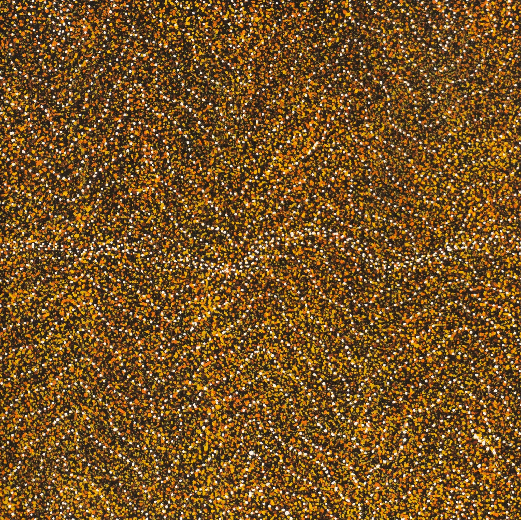 Annie Nelson Napangardi Aboriginal Art