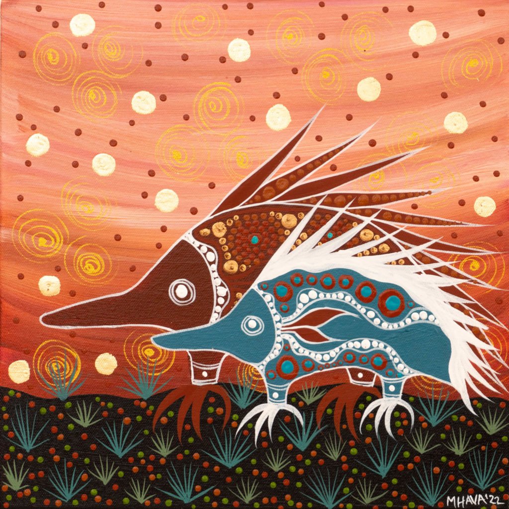 Melanie Hava Aboriginal Art
