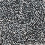 Roseanne Morton Petyarre Aboriginal Art