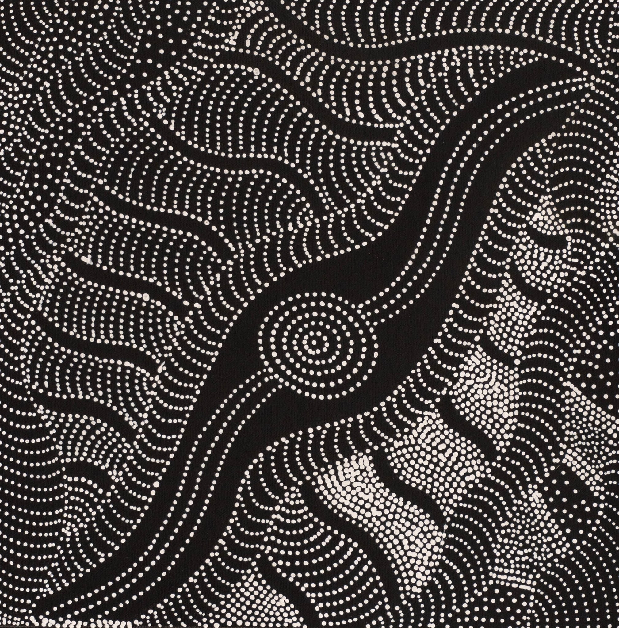 Stephen Petyarre Aboriginal Art