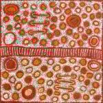 Marlene Young Nungurrayi Aboriginal Art