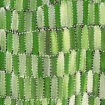 Selina Numina Aboriginal Art