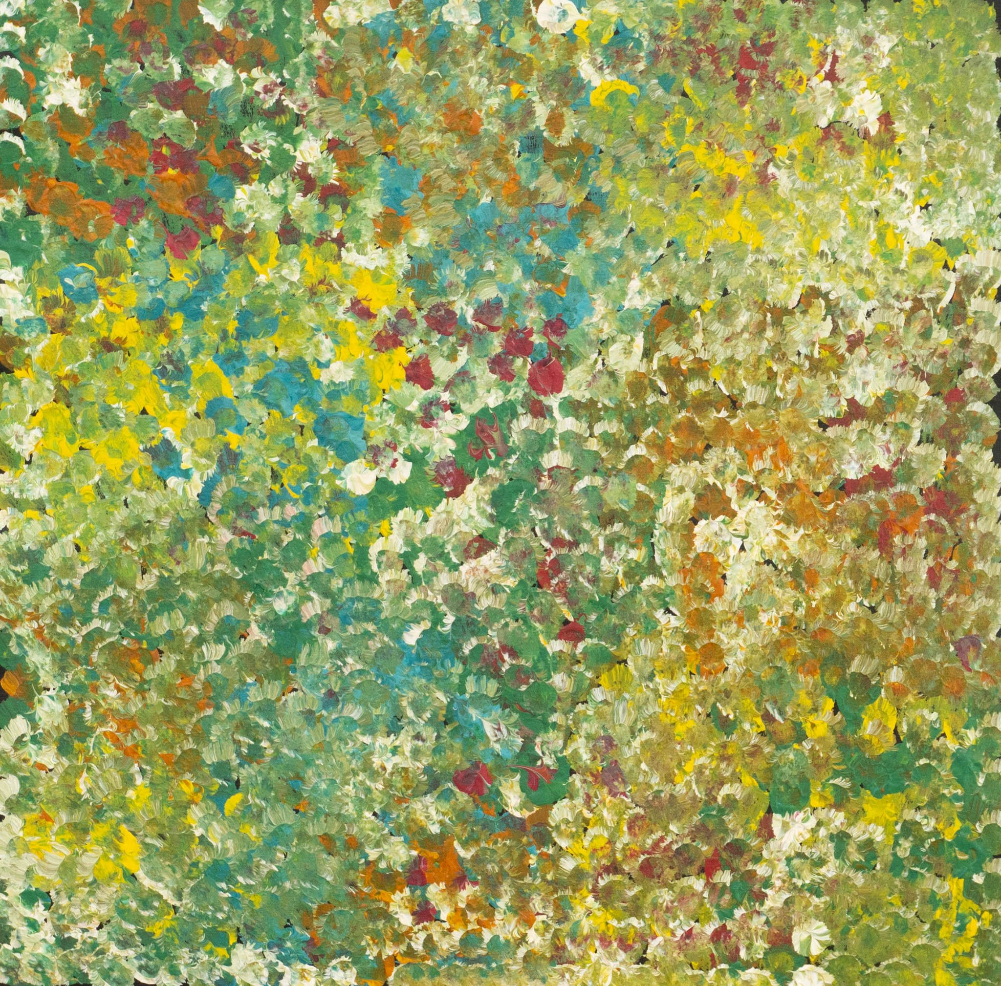 Belinda Golder Kngwarreye Aboriginal Art