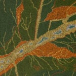 Arkeria Rose Armstrong Aboriginal Art