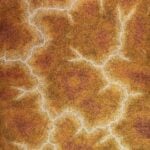 Tarisse King Aboriginal Art