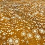 Aboriginal Art Grace Brown