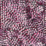 Eileen Bird Nungarai Aboriginal Art