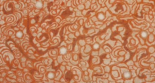 Samantha Daniels Napaltjarri Aboriginal Art