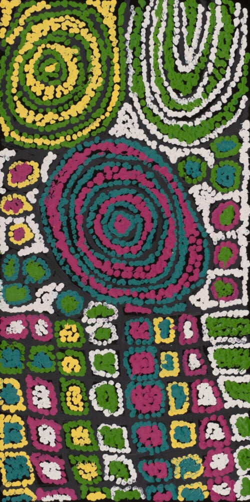 Debra Young Nakamarra Aboriginal Art