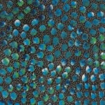 Eileen Bird Nungarai Aboriginal Art