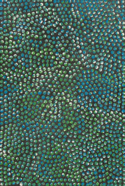 Eileen Bird Nungarai Aboriginal Art