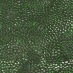 Eileen Bird Nungarai Aboriginal Art