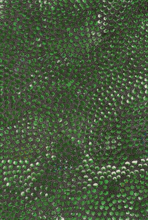 Eileen Bird Nungarai Aboriginal Art