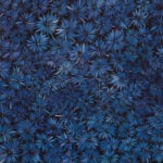 Margaret Scobie Aboriginal Art