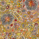 Rochelle Bird Mbitjana Aboriginal Art