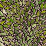 Louise Numina Aboriginal Art