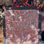 Jeannie Petyarre Aboriginal Art