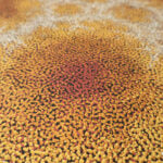 Tarisse King Aboriginal Art