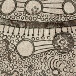 Yinarupa Nangala Aboriginal Art