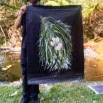 Anthony Walker Aboriginal Art