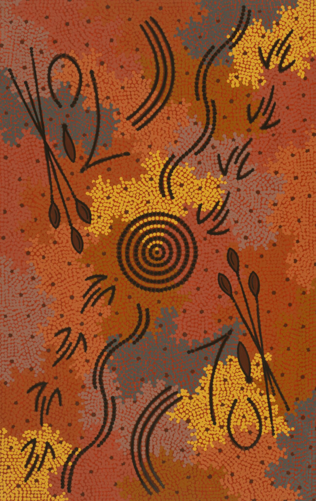 Bevan Tjampitjinpa Aboriginal Art
