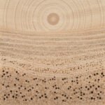 Grace Brown Aboriginal Art
