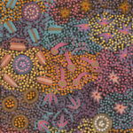 Michelle Possum Nungurrayi Aboriginal Art