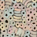 Louise Numina Aboriginal Art