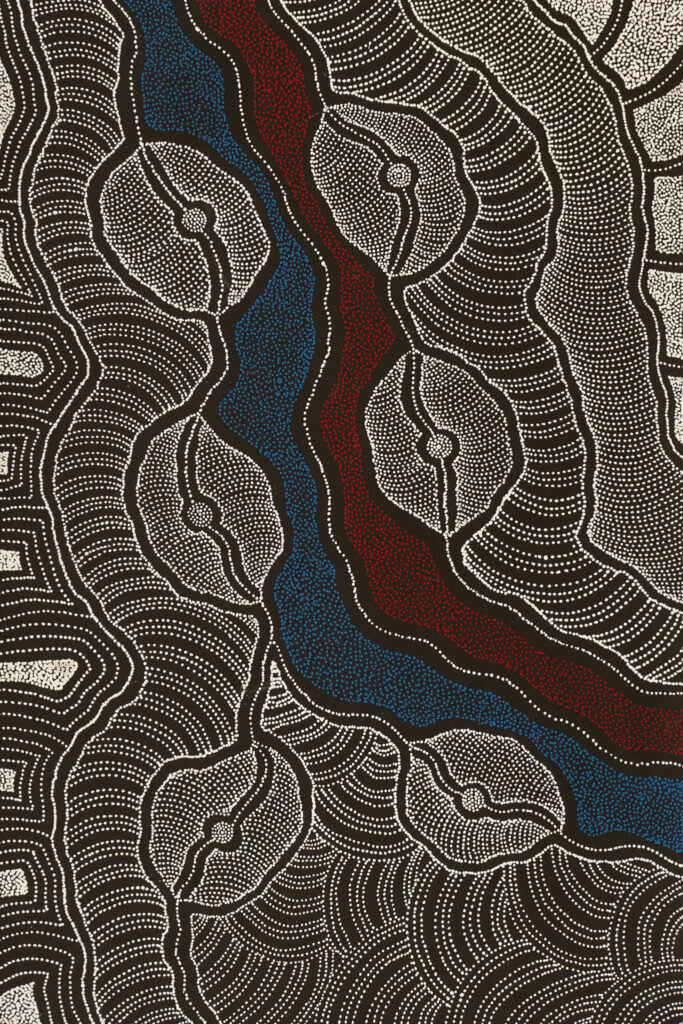 Delvine Petyarre Aboriginal Art