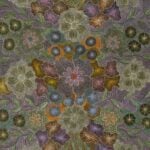 Susan Hunter Petyarre Aboriginal Art