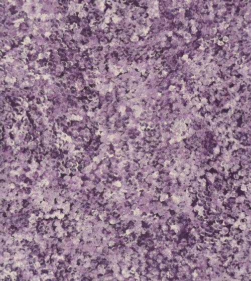 Bessie Petyarre Aboriginal Art