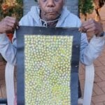 Eileen Bird Kngwarreye Aboriginal Art