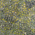 Eileen Bird Kngwarreye Aboriginal Art