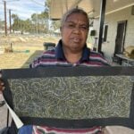 Annie Nelson Napangardi Aboriginal Art
