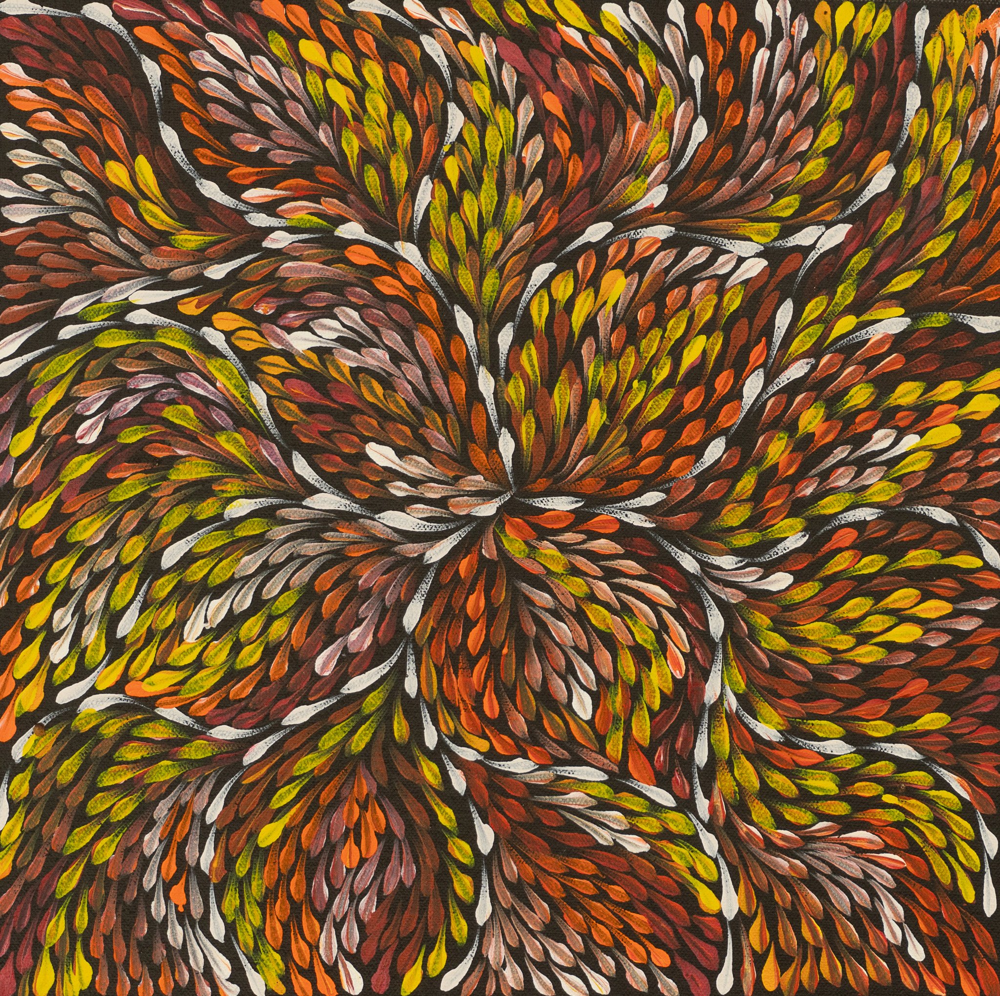 Roseanne Morton Petyarre Aboriginal Art