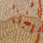 Kurun Warun Aboriginal Art
