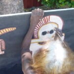Lily Karadada Aboriginal Art