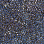 Eileen Bird Kngwarreye Aboriginal Art