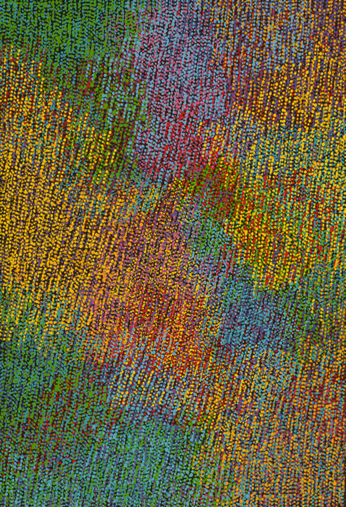 Michelle Cooper Aboriginal Art