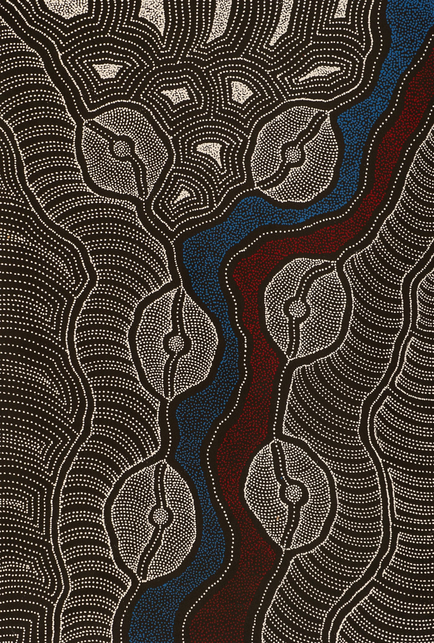 Delvine Petyarre Aboriginal Art